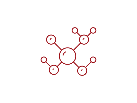 Amino acids & messengers